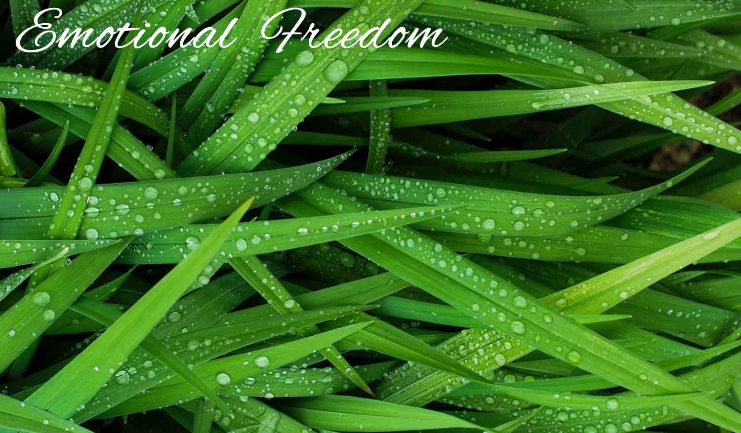 Emotional Freedom